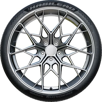 Habilead S2000 225/40 R19 93W