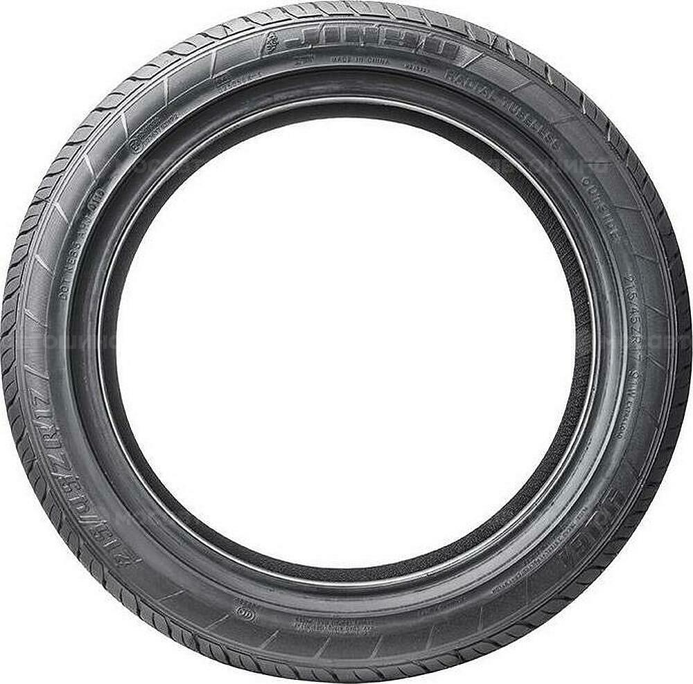Vista lateral Jinyu YU61 Gallopro 205/55 R16 91W