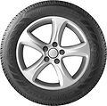 Landspider Wildtraxx A/T II