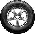 Nexen Roadian HTX RH5 245/55 R19 103T (BSW)