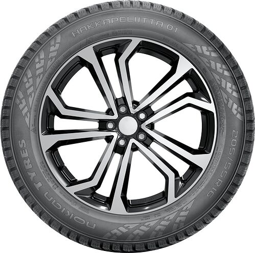 Nokian Hakkapeliitta 01