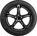 Taurus Ice 195/55 R15 89T XL