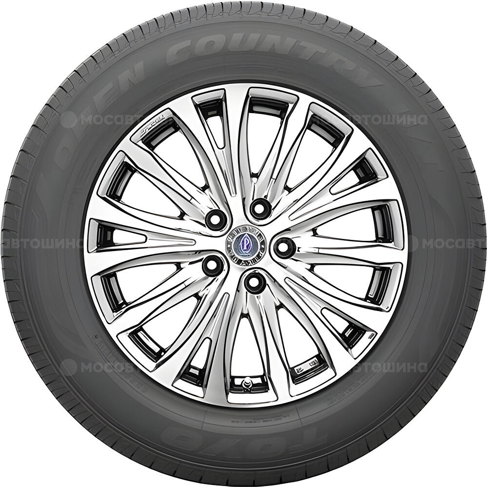 Vista lateral  Toyo Open Country U/T 255/70 R16 111H