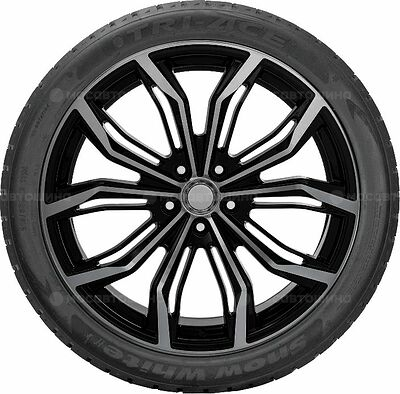 Tri-Ace Snow White II 285/60 R18 120H XL