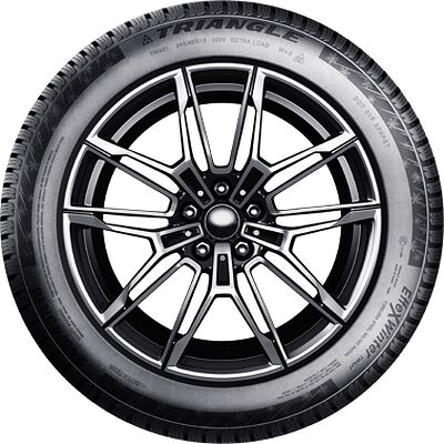 Triangle TW421 EffeXWinter 275/45 R20 110W XL