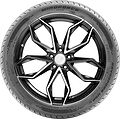 Windforce Advanfors UHP II 255/45 R21 106W
