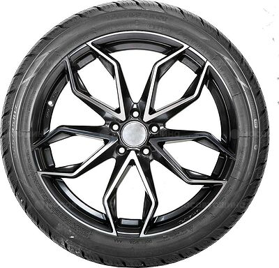 Windforce Catchfors A/S 185/65 R15 92T XL