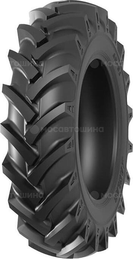 Anlas AN-81 6,5x80x12 TT