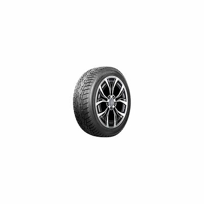 Autogreen Ice Cruiser AW01 185/75 R16C 104/102R 8PR