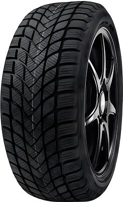 Delinte WD6 195/55 R16 87H 