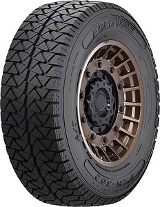 Fortune FSR-302