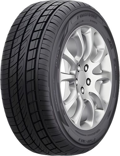 Fortune FSR-303