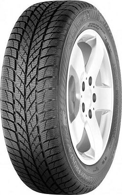 Gislaved Euro Frost 5 195/65 R15 91T