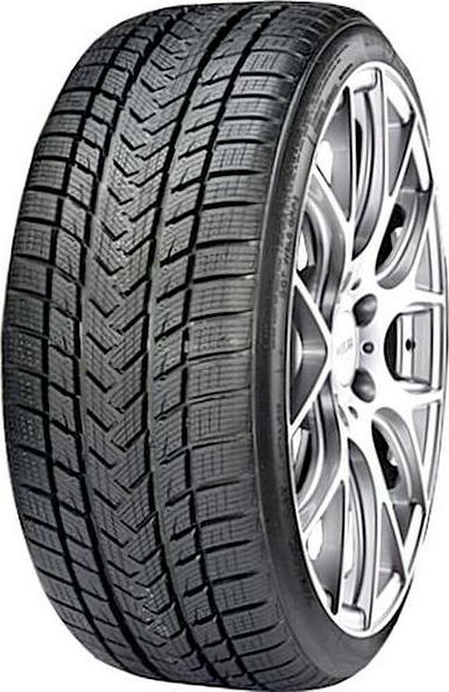 Gripmax Status Pro Winter 205/55 R17 95V