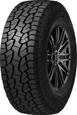 Hankook RF10 Dynapro ATm 255/75 R17 113T RF
