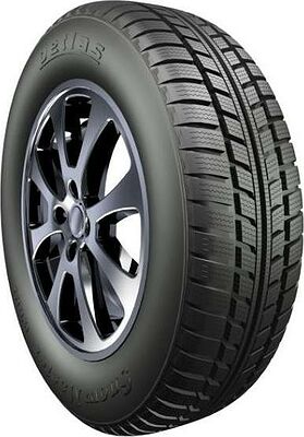 Petlas Snow Master W601 165/65 R13 77T 
