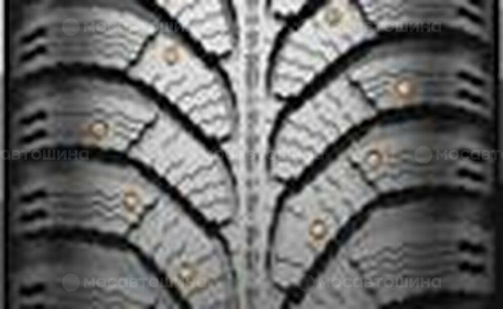 Protector Amtel NordMaster 2 175/70 R14 84Q