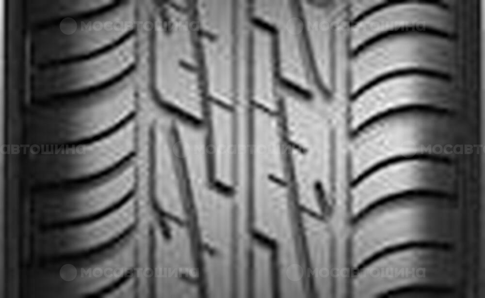 Protector Amtel Planet 2P 175/70 R13 82T
