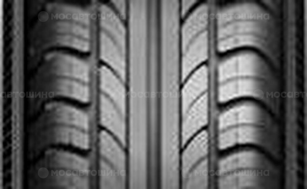 Protector Amtel Planet 175/70 R14 84T