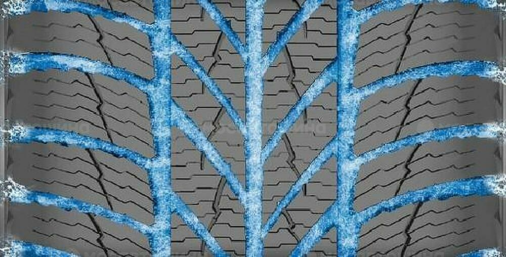 Protector Gislaved Euro Frost 5 195/65 R15 95T XL