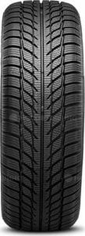 Protector Goodride SW608 205/65 R15 94T