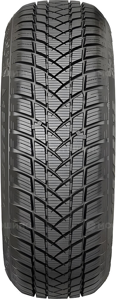 Protector GT Radial Champiro Winterpro 2 Sport