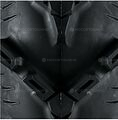 ITP Cryptid 27x10-14 