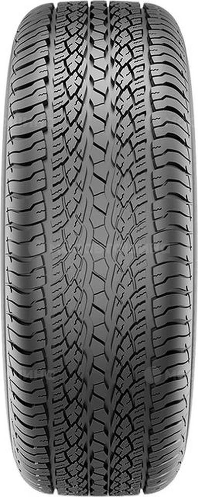 Protector Kavir Tire KB900 Dominant