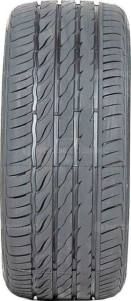 Protector Massimo Leone L1 205/55 ZR17 95W 