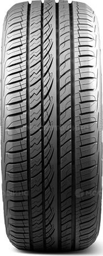 Protector Maxtrek Fortis T5 255/30 R22 95W