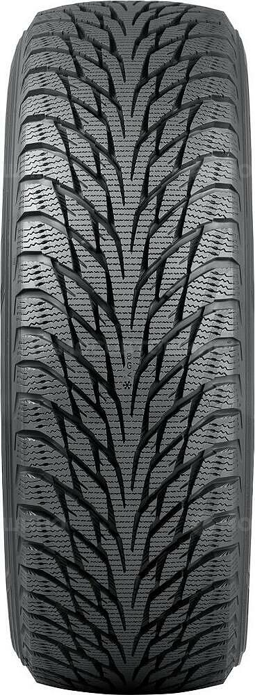 Protector Nokian Hakkapeliitta R2 235 R18 95R XL