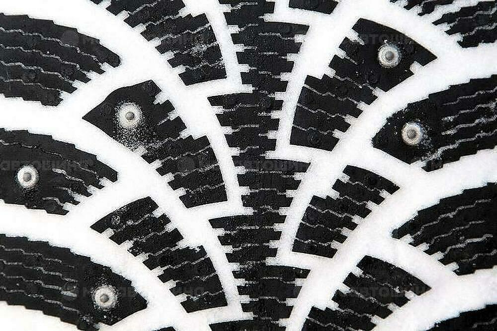 Protector Nordman 4 175/70 R13 82T