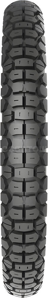 Protector Timsun TS-829F 3.00-21 PR4 TT