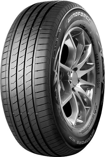 Windforce Advanfors H/P