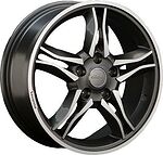 Catwild SA2
