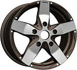 Catwild ST14
