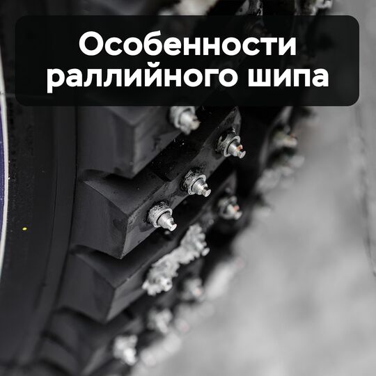 Особенности раллийного шипа