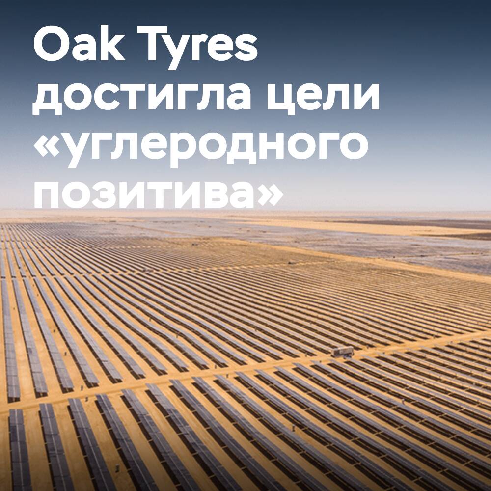 La empresa Oak Tyres ha logrado el objetivo de "carbono positivo" con la ayuda de Ecologi