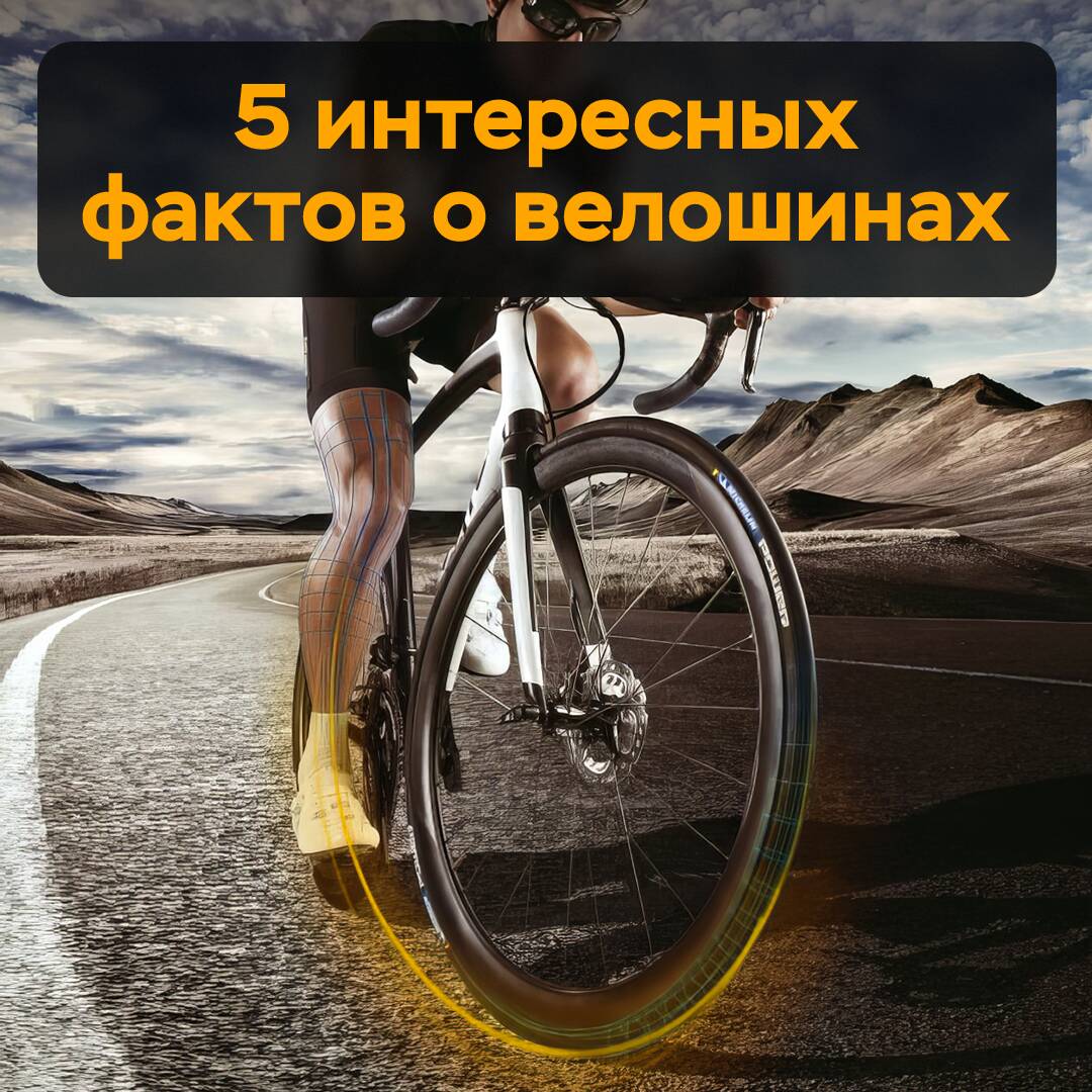 5 hechos interesantes sobre neumáticos de bicicleta