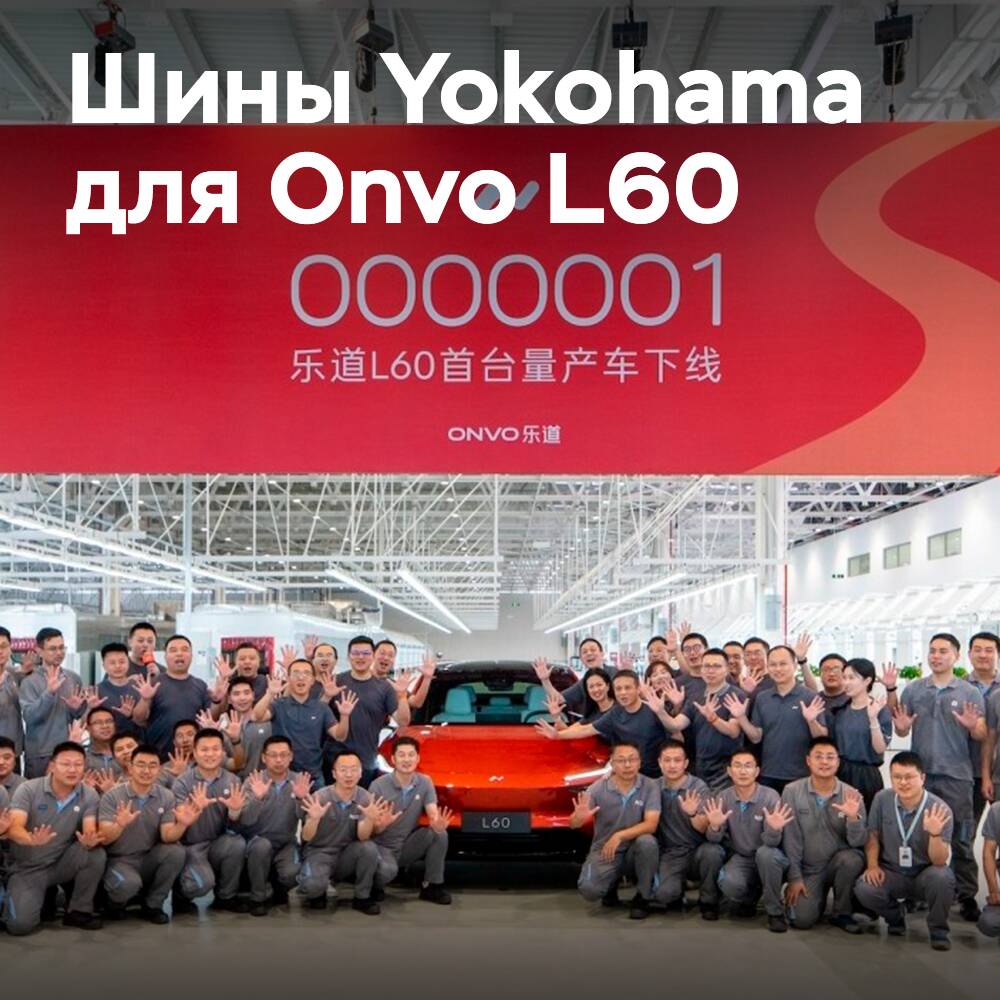 Neumáticos originales Yokohama para Onvo L60