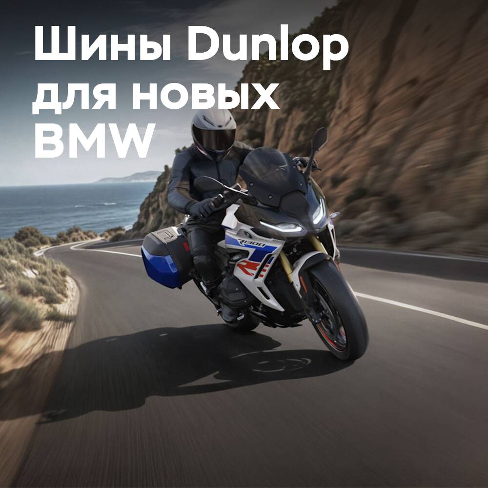 Neumáticos Dunlop OE para BMW R1300R/RS