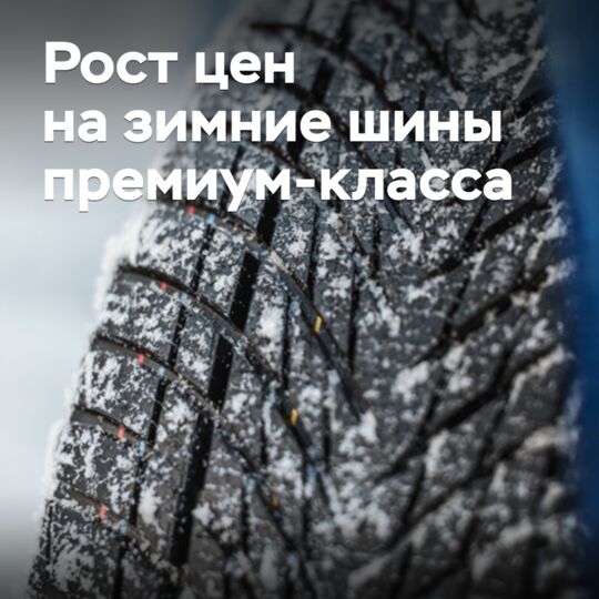Зимние шины премиум-класса за два года подорожали на треть
