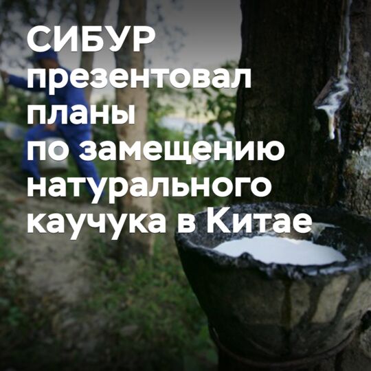 СИБУР презентовал планы по замещению натурального каучука в Китае
