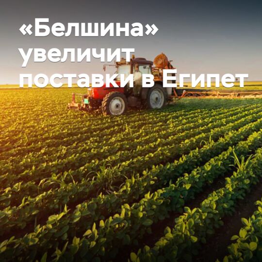 «Белшина» увеличит поставки в Египет