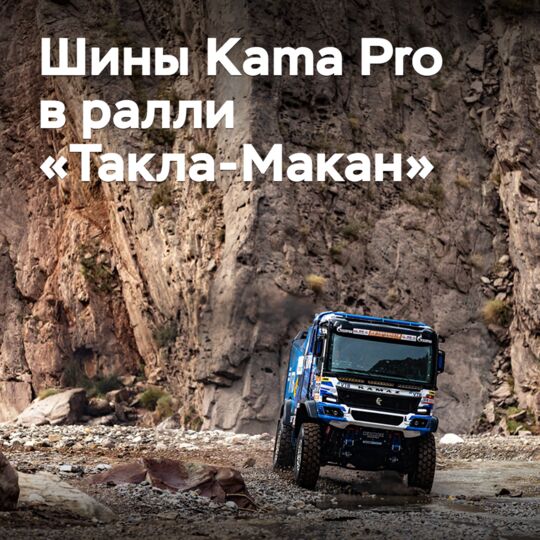 «КАМАЗ-мастер» на нижнекамских шинах победила в ралли «Такла-Макан»
