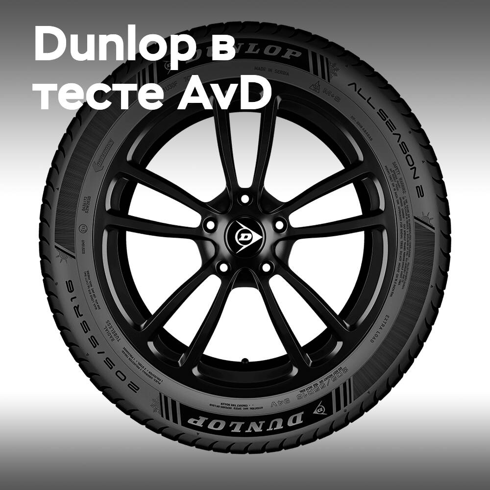 El Dunlop All Season 2 ha recibido una alta puntuación de AvD
